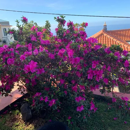 Ponta Do Sol Villa Exterior photo